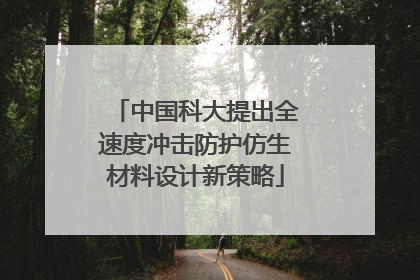中国科大提出全速度冲击防护仿生材料设计新策略