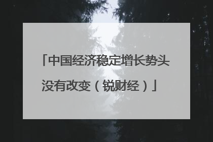 中国经济稳定增长势头没有改变（锐财经）