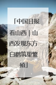 中国日报看山西｜山西发现东方白鹳筑巢繁殖