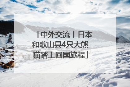 中外交流丨日本和歌山县4只大熊猫踏上回国旅程