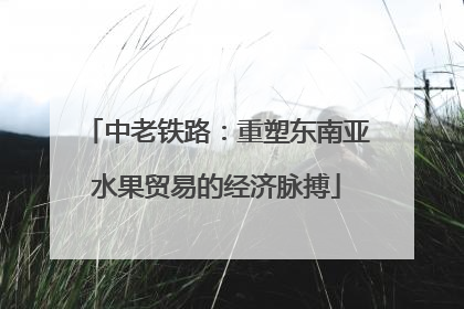 中老铁路：重塑东南亚水果贸易的经济脉搏