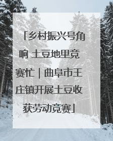 乡村振兴号角响 土豆地里竞赛忙｜曲阜市王庄镇开展土豆收获劳动竞赛