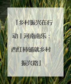 乡村振兴在行动丨河南南乐：西红柿铺就乡村振兴路