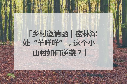 乡村邀请函｜密林深处“羊咩咩”，这个小山村如何逆袭？