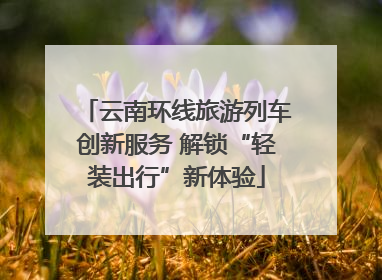 云南环线旅游列车创新服务 解锁“轻装出行”新体验