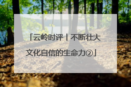 云岭时评丨不断壮大文化自信的生命力②
