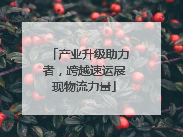 产业升级助力者，跨越速运展现物流力量