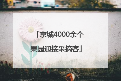 京城4000余个果园迎接采摘客