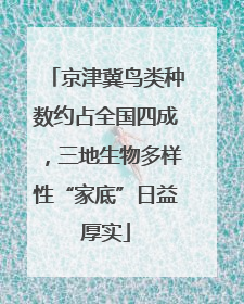 京津冀鸟类种数约占全国四成，三地生物多样性“家底”日益厚实