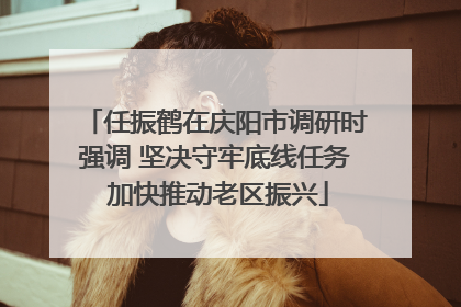 任振鹤在庆阳市调研时强调 坚决守牢底线任务 加快推动老区振兴