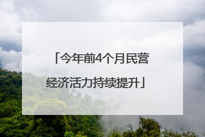 今年前4个月民营经济活力持续提升