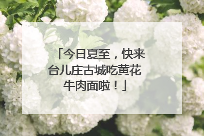 今日夏至，快来台儿庄古城吃黄花牛肉面啦！