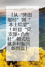 从“外出取经”到“本土结果”！叶县“党支部+合作社”模式绘就乡村振兴新图景