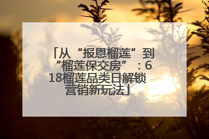 从“报恩榴莲”到“榴莲保交房”：618榴莲品类日解锁营销新玩法