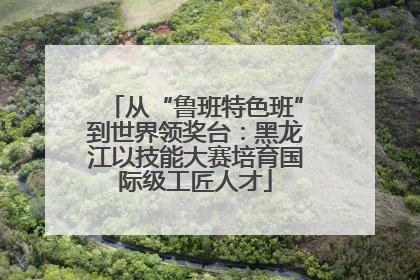 从“鲁班特色班”到世界领奖台：黑龙江以技能大赛培育国际级工匠人才