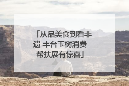 从品美食到看非遗 丰台玉树消费帮扶展有惊喜