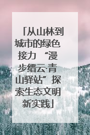 从山林到城市的绿色接力 “漫步缙云·青山驿站”探索生态文明新实践