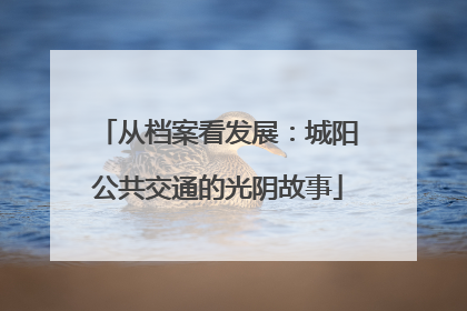 从档案看发展：城阳公共交通的光阴故事