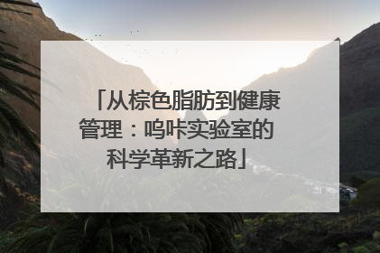 从棕色脂肪到健康管理：呜咔实验室的科学革新之路