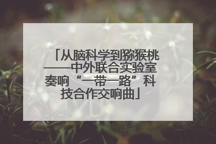 从脑科学到猕猴桃——中外联合实验室奏响“一带一路”科技合作交响曲