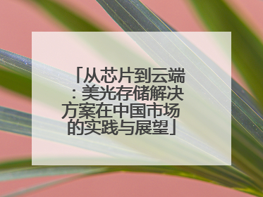 从芯片到云端：美光存储解决方案在中国市场的实践与展望