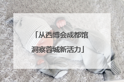 从西博会成都馆洞察蓉城新活力
