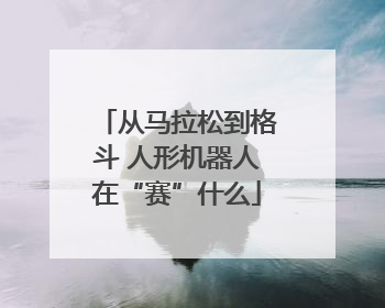 从马拉松到格斗 人形机器人在“赛”什么
