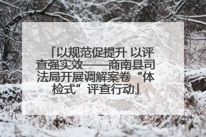 以规范促提升 以评查强实效——商南县司法局开展调解案卷“体检式”评查行动