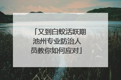 又到白蚁活跃期 池州专业防治人员教你如何应对