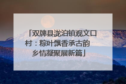 双牌县泷泊镇观文口村：粽叶飘香承古韵 乡情凝聚展新篇