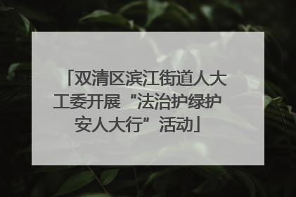 双清区滨江街道人大工委开展“法治护绿护安人大行”活动