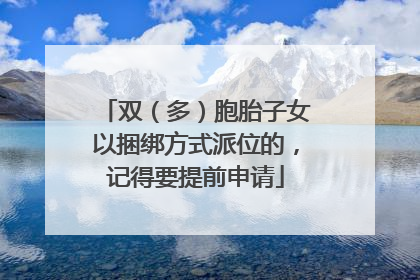 双（多）胞胎子女以捆绑方式派位的，记得要提前申请