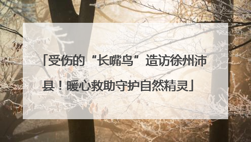 受伤的“长嘴鸟”造访徐州沛县！暖心救助守护自然精灵