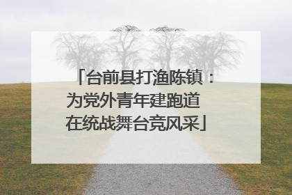 台前县打渔陈镇：为党外青年建跑道 在统战舞台竞风采