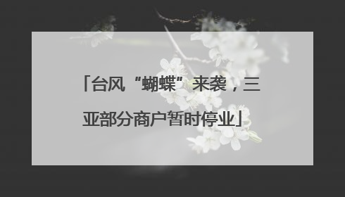 台风“蝴蝶”来袭，三亚部分商户暂时停业