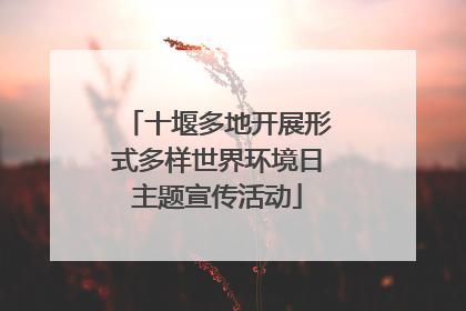 十堰多地开展形式多样世界环境日主题宣传活动