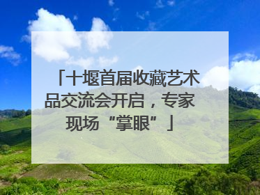 十堰首届收藏艺术品交流会开启，专家现场“掌眼”