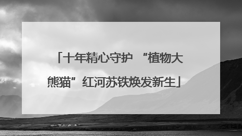 十年精心守护 “植物大熊猫”红河苏铁焕发新生