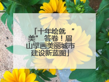 十年绘就 “美” 答卷！眉山擘画美丽城市建设新蓝图