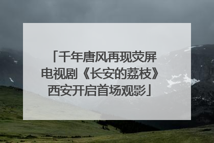 千年唐风再现荧屏 电视剧《长安的荔枝》西安开启首场观影