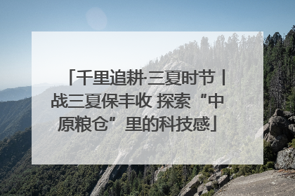 千里追耕·三夏时节丨战三夏保丰收 探索“中原粮仓”里的科技感