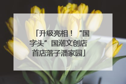 升级亮相！“国字头”国潮文创店首店落子潘家园