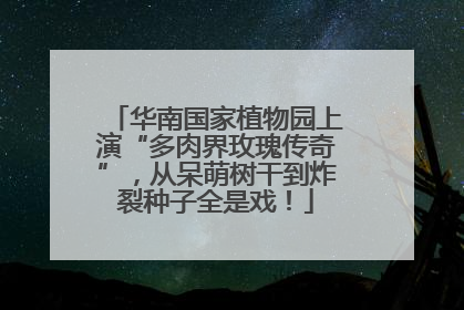 华南国家植物园上演“多肉界玫瑰传奇”，从呆萌树干到炸裂种子全是戏！