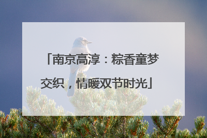南京高淳：粽香童梦交织，情暖双节时光
