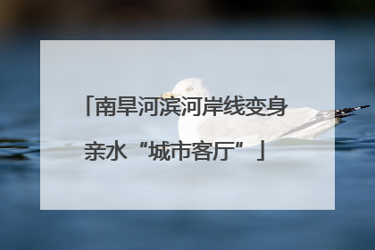 南旱河滨河岸线变身亲水“城市客厅”