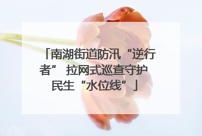 南湖街道防汛“逆行者” 拉网式巡查守护民生“水位线”