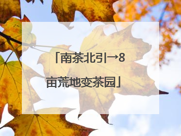 南茶北引→8亩荒地变茶园