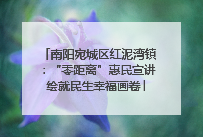 南阳宛城区红泥湾镇：“零距离”惠民宣讲 绘就民生幸福画卷