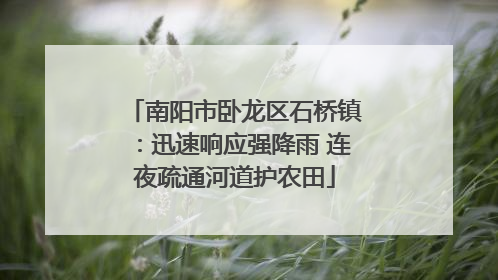 南阳市卧龙区石桥镇：迅速响应强降雨 连夜疏通河道护农田