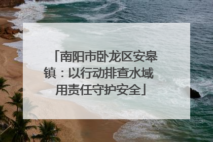 南阳市卧龙区安皋镇：以行动排查水域 用责任守护安全